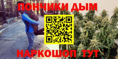 индика Краснокаменск
