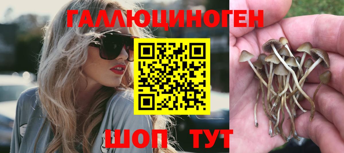 Псилоцибиновые грибы прущие грибы Кизилюрт