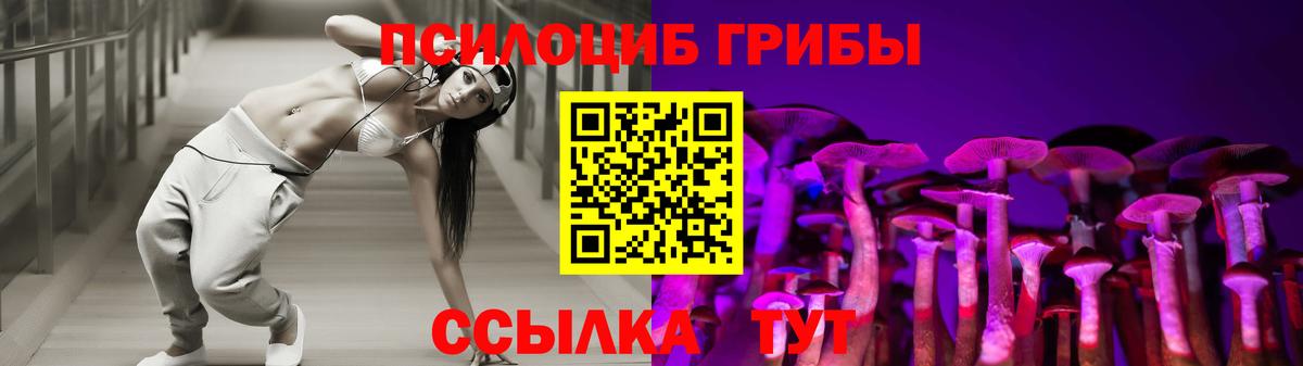 Псилоцибиновые грибы GOLDEN TEACHER  Псилоцибиновые грибы Psilocybe  Вход с VPN  Кизилюрт 